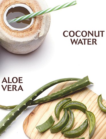 Coconut-Water-Ingredients